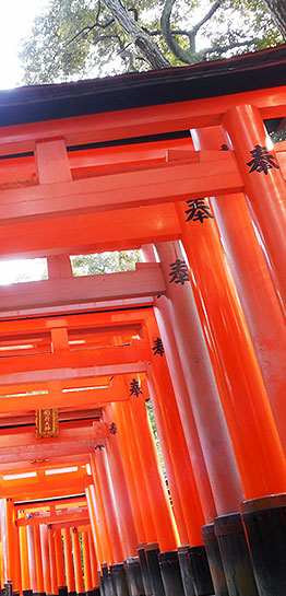 Fushimi Inari shrine