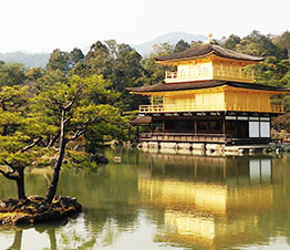 Kinkaku-ji temple